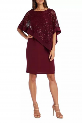 R&M Richards Sleeveless Sheath Dress with Lace Overlay