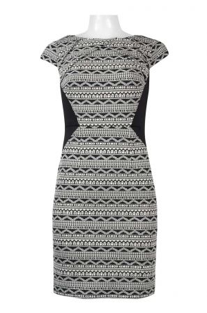 Adrianna Papell Day Boat Neck Cap Sleeve Pleated Zipper Back Knit Dress (Petite)