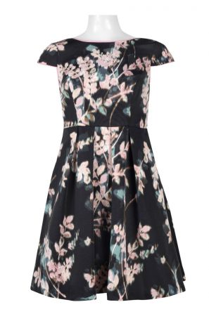 Adrianna Papell Day Boat Neck Cap Sleeve Piping Detail Zipper Back Pleated Multi Print Dress (Petite)