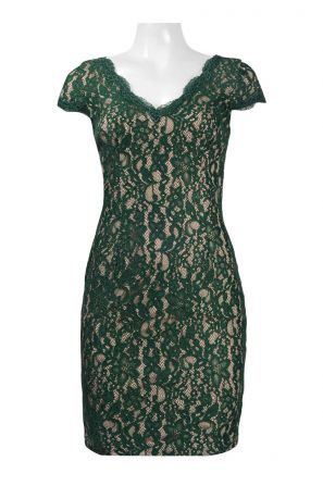 Adrianna Papell Scalloped V-Neck Short Sleeve Zipper Back Floral Lace Dress