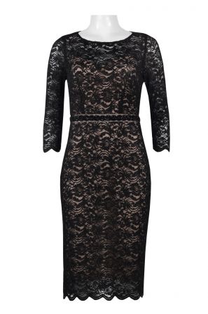 Alex Evenings Scoop Neck 3/4 Sleeve Zipper Back Embellished Lace Dress