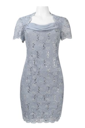 Alex Evenings Half Sleeve Queen Anne Neckline Sequined Lace Sheath Dress (Petite)