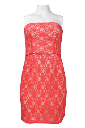 Hailey by Adrianna Papell Inverted Strapless Cotton Lace Overlay Sheath Dress