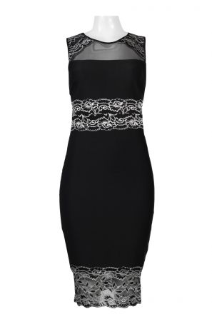 Jax Crew Neck Sleeveless Zipper Back Illusion Embroidered Mesh & Twill Dress