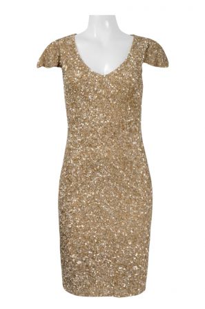 Theia Scoop Neck Cap Sleeve Zipper Back Bodycon Sequined Mesh Dress